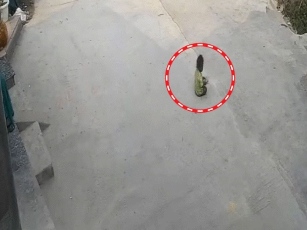 देहरादून में 2 साल के मासूम को कार ने कुचला cctv वीडियो वायरल