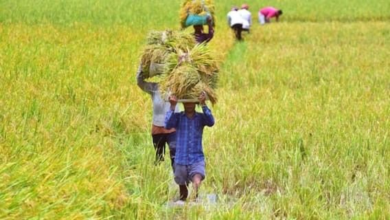 किसानों के लिए खुशखबरीशुरू होगी लखपति एक बीघा किसान योजना