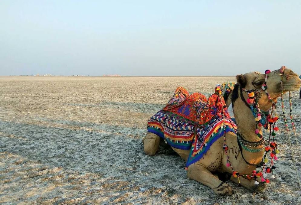 katch tourist place  समुंदर के किनारे इन खास जगहों पर घूमने जाएं सोच बदल जाएगी