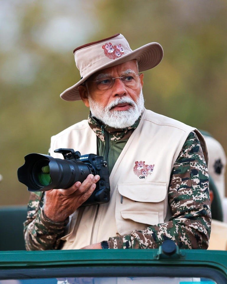 lion safari photographywildlife  पीएम मोदी की गिर यात्रा