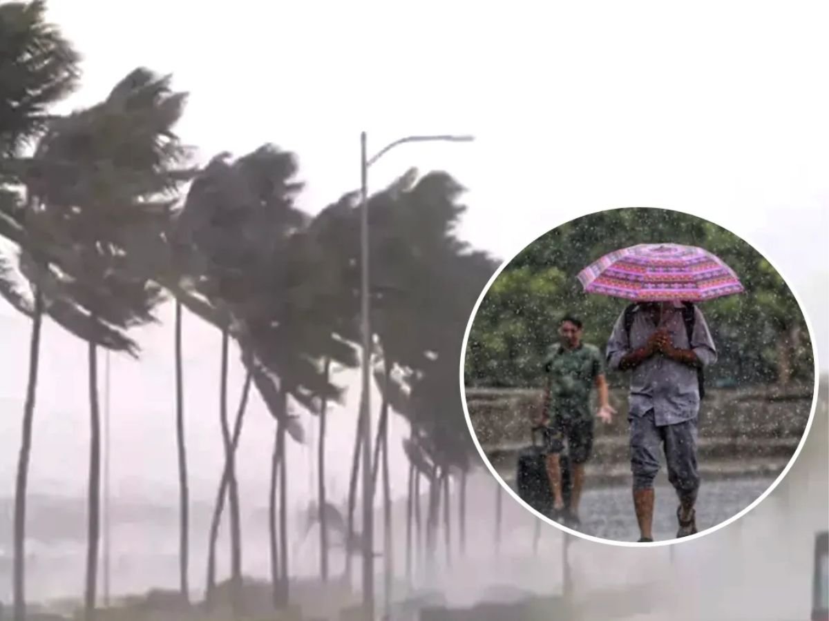 mp में फिर होगी बारिशआंधी भी चलेगीपहले 3 दिन गर्मी रहेगी