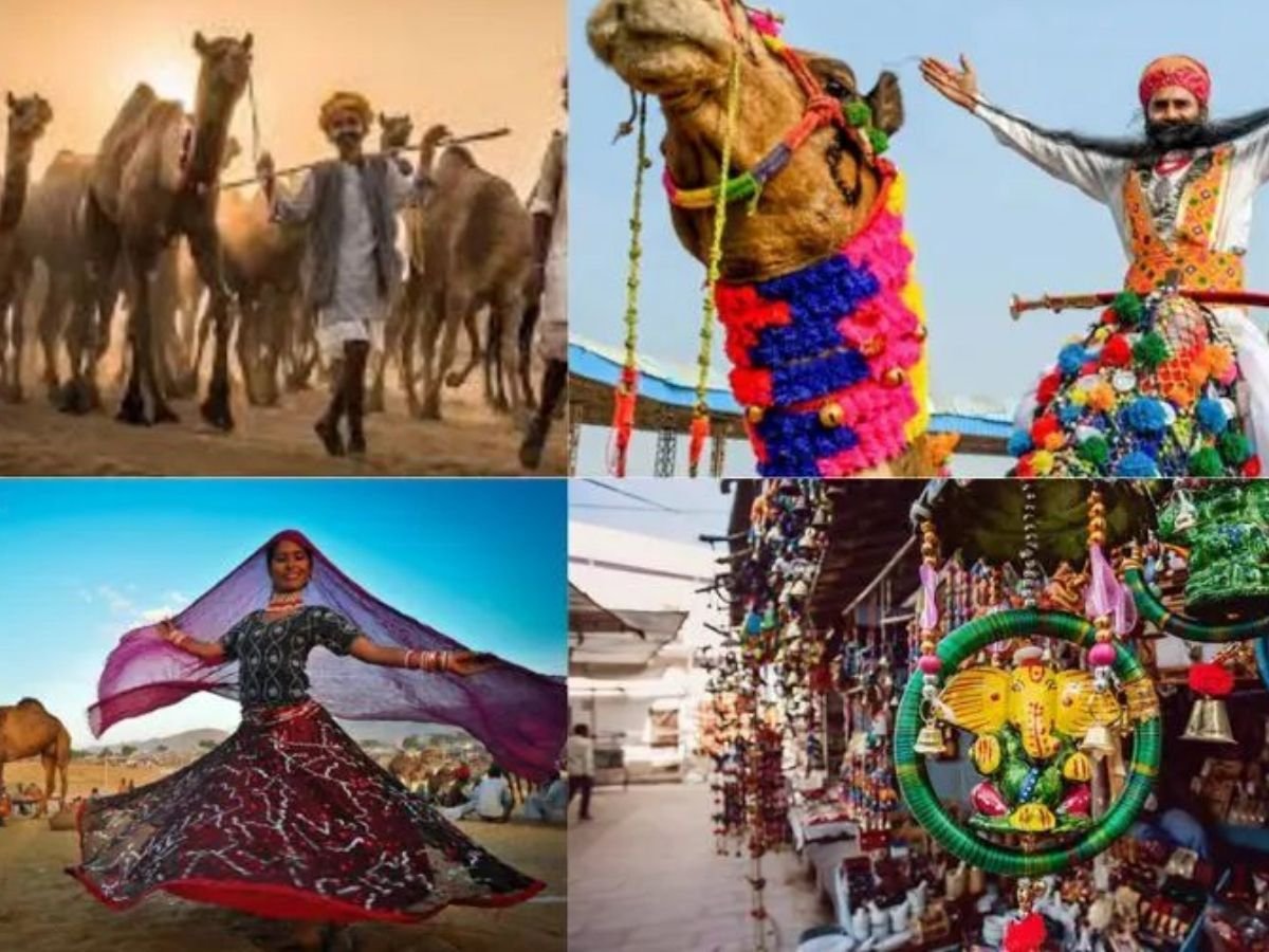 rajasthan news पुष्कर मेला 2025-पहली बार कैमल और हॉर्स शो का आयोजन