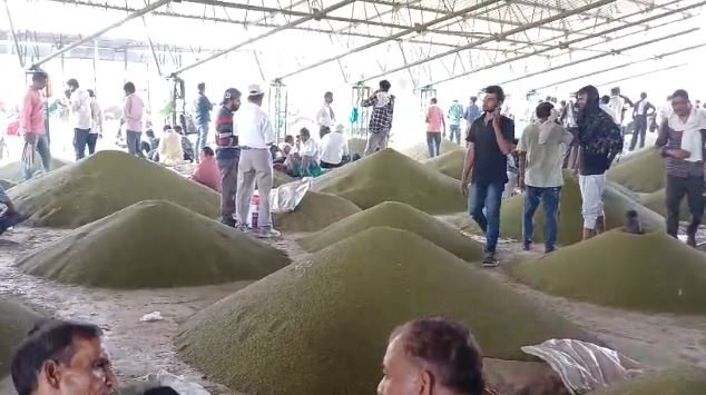 narsinghpur news नरसिंहपुर में अनिश्चितकालीन धरनासमर्थन मूल्य पर खरीदी की मांग