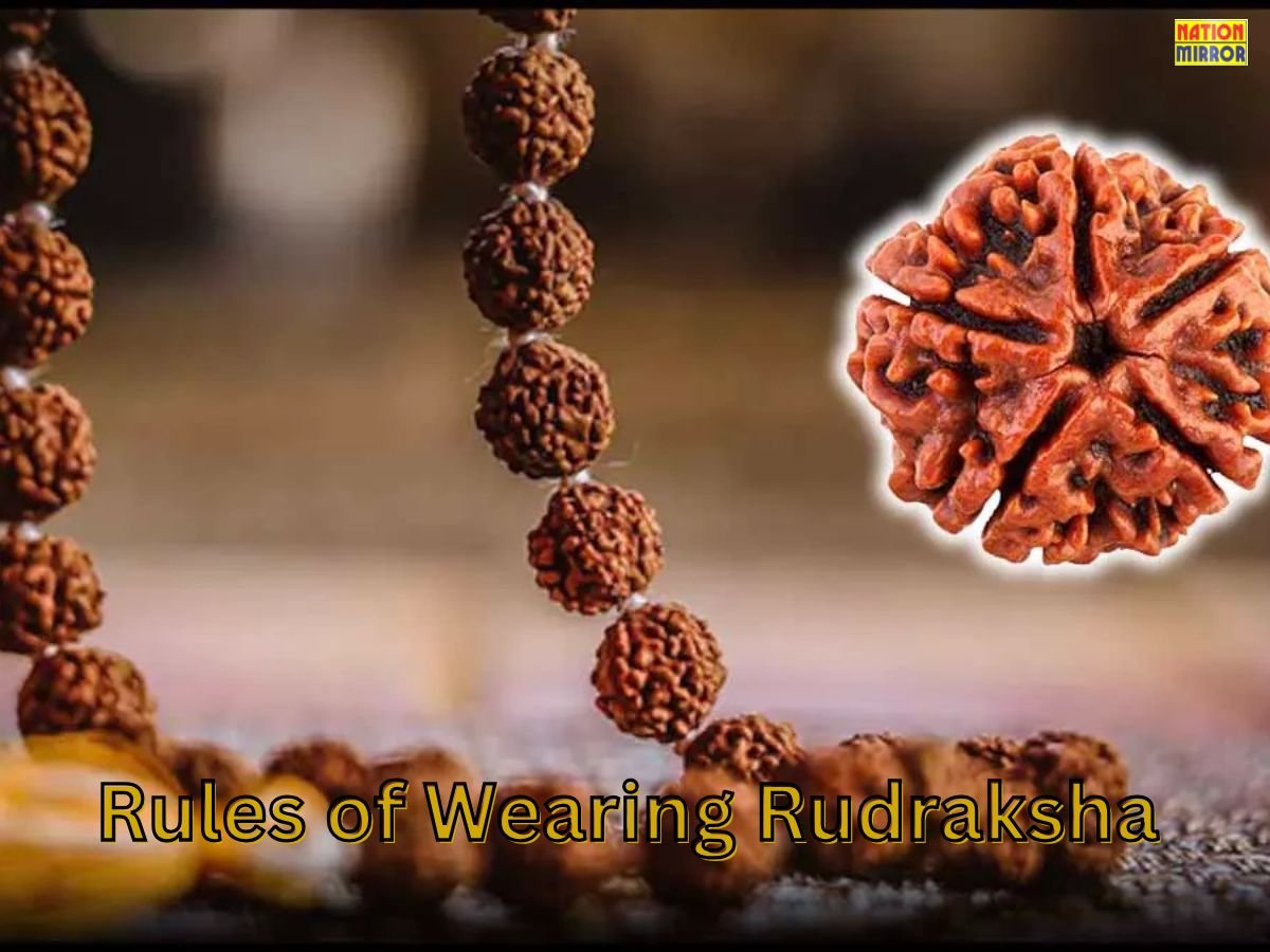 rules of wearing rudraksha रुद्राक्ष पहनने से पहले जान लें ये जरुरी बातें