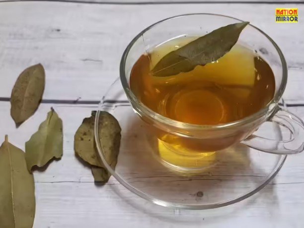 tej patta benefitsside effects जानिए सेहत पर कैसा डालता है असर