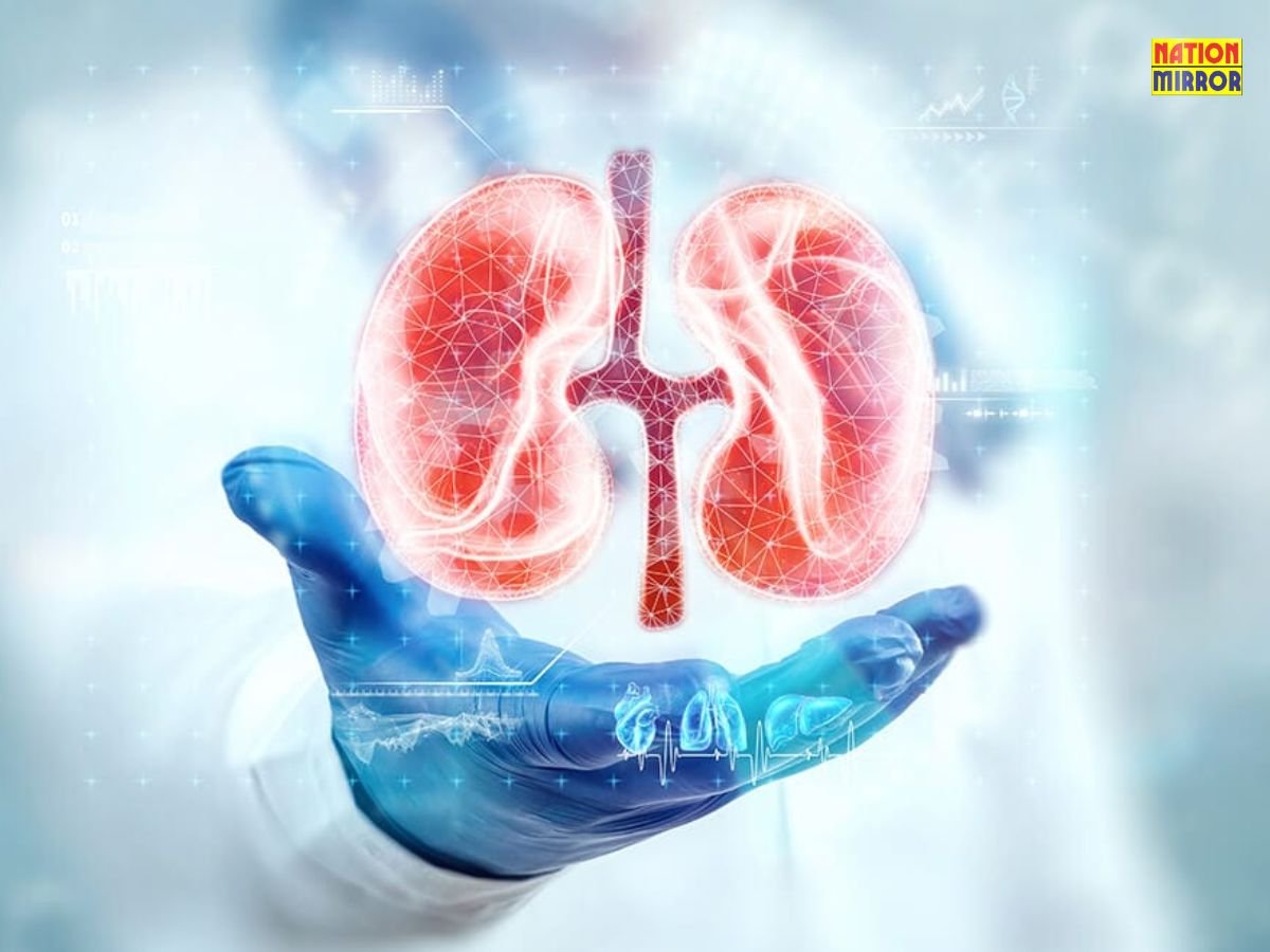 tips for healthy kidney ये गलत आदतें नहीं छोड़ी तो हो जाएगी किडनी खराब