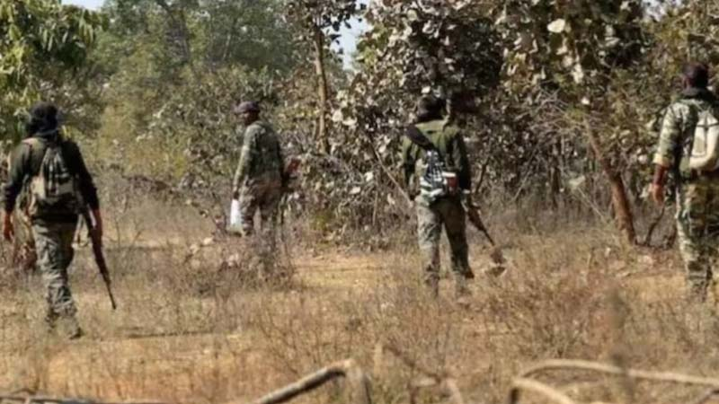 cg news  सुकमा में पुलिस-नक्सलियों के बीच मुठभेंड जारी