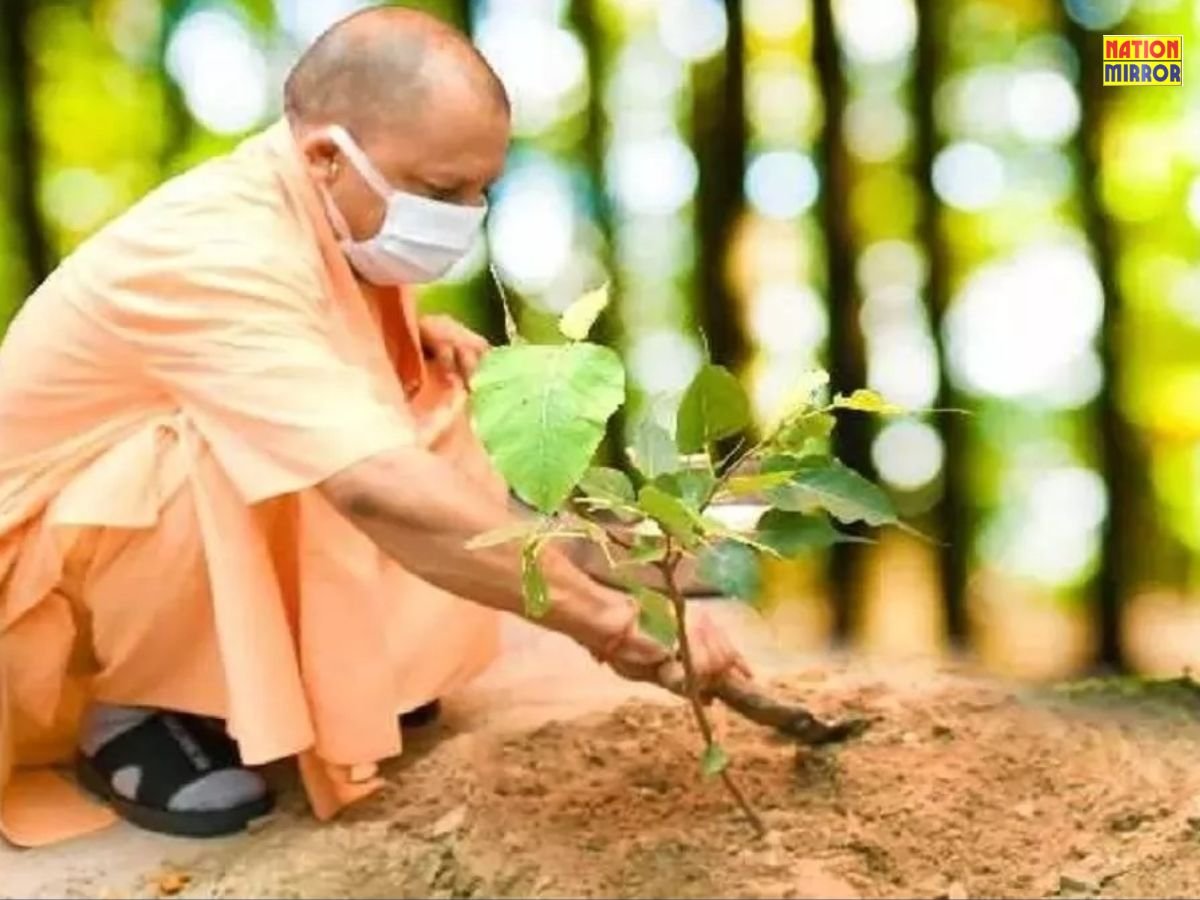 उत्तर प्रदेश में पौधरोपण महाभियान-2025 का शुभारंभ 1 बजे तक प्रदेश में लगाए 20 करोड़ से ज्यादा पौधे