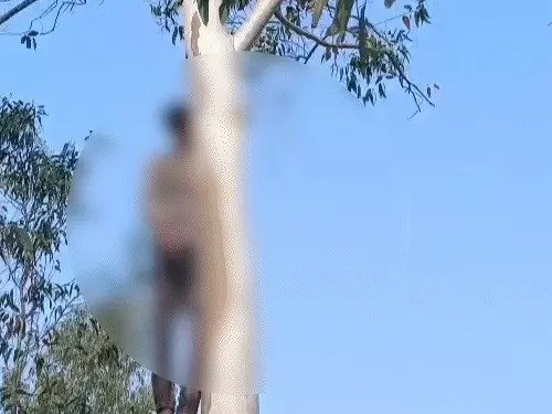 chhattisgarh couple suicide परिवार शादी के लिए था राजी फिर भी gen-z कपल ने किया सुसाइड