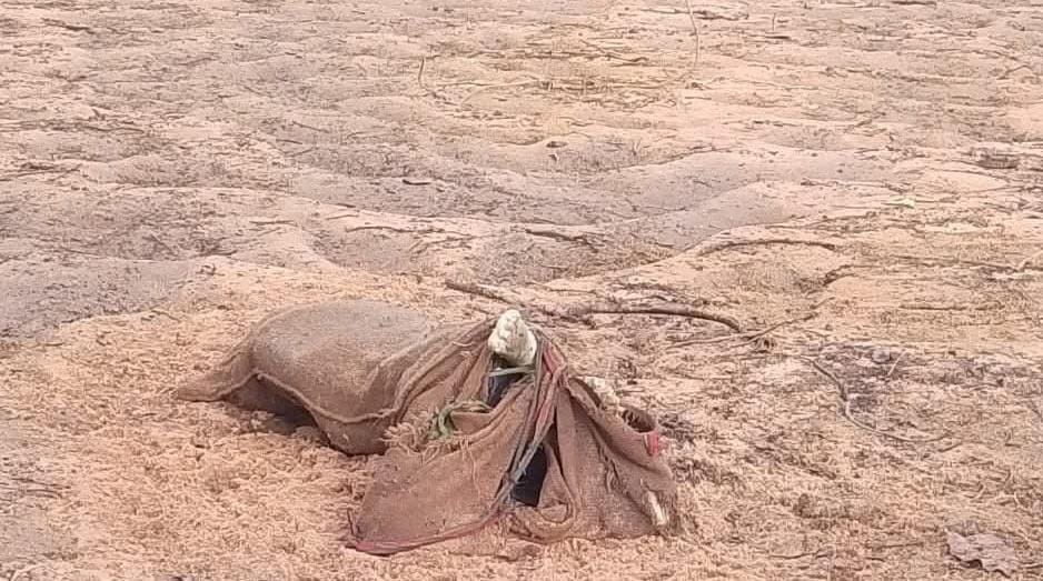 singrauli river body case सिंगरौली में गोपत नदी किनारे बोरी में बंद युवक का शव मिलने से सनसनी पुलिस जांच में जुटी