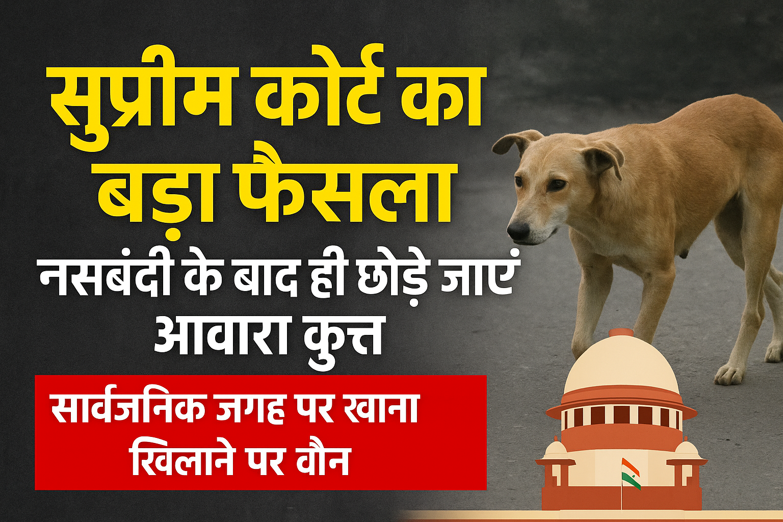 delhiस्ट्रीट डॉग को लेकर सुप्रीम कोर्ट का फरमान– खूंखार कुत्ते रहेंगे कैद में नसबंदी वाले लौटेंगे वहीं जहां से पकड़े गए थे