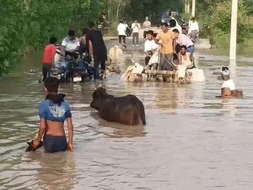 मानसून 2025 बिहार से हिमाचल तक बाढ़ का कहर 10 लाख लोग बेहाल