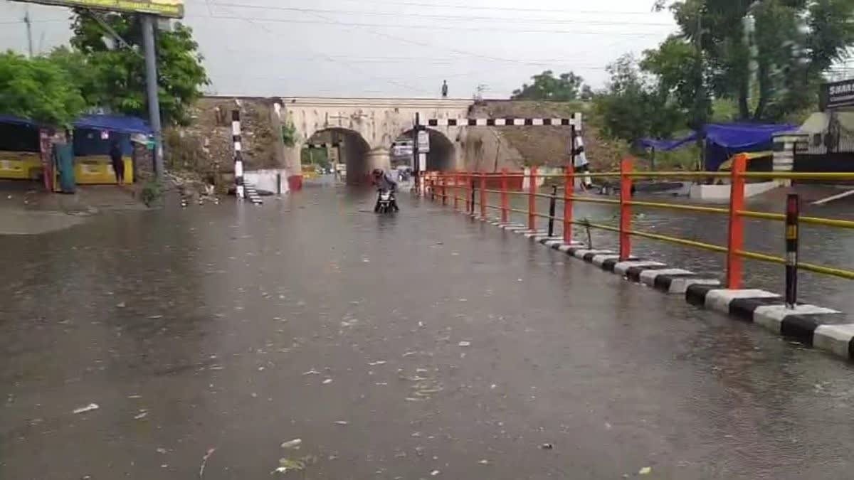 हरिद्वार में बाढ़  भारी बारिश से शहर जलमग्न सड़कें पानी में डूबीं पेड़ गिरे
