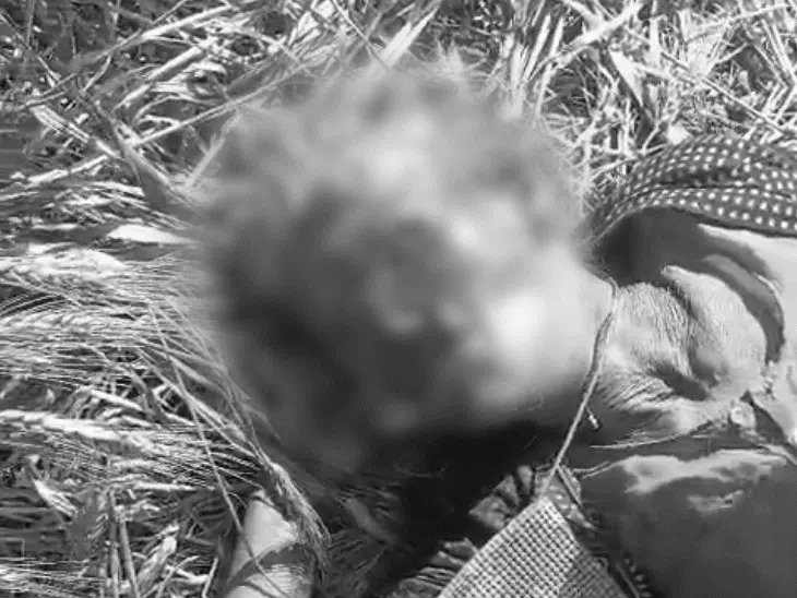 rajgarh woman murder news नाक और जीभ काटकर की बुजुर्ग की हत्या