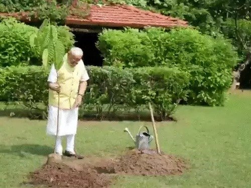 प्रधानमंत्री मोदी ने प्रिंस चार्ल्स का पौधा रोपा एक पेड़ मां के नाम पहल पर साझा प्रतिबद्धता 