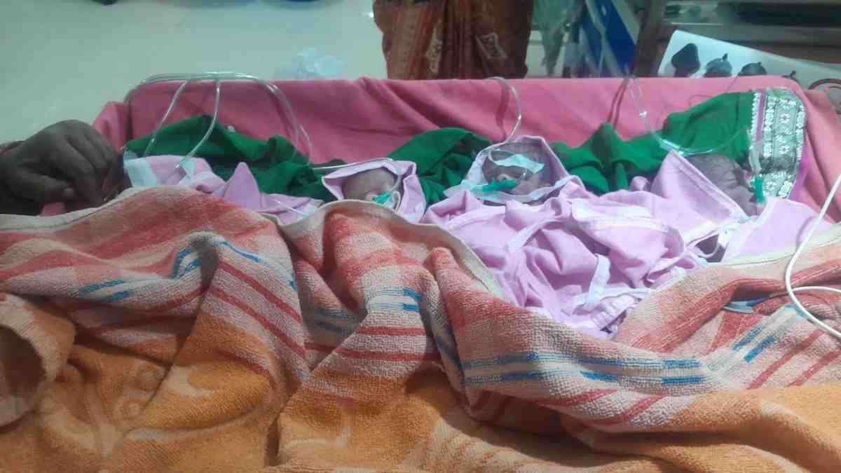 today chhindwara news छिंदवाड़ा में एक साथ जन्मे 4 बच्चों की मौत