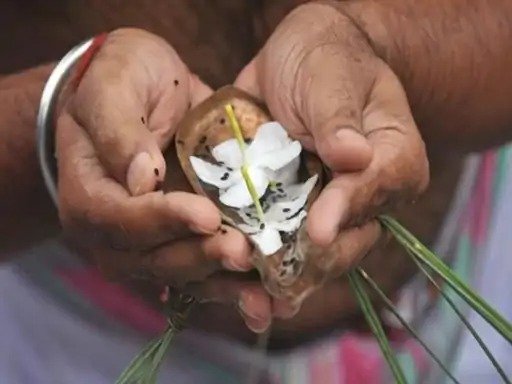 सर्वपितृ मोक्ष अमावस्या 2025 21 सितंबर को पितरों के लिए विधिपूर्वक करें तर्पण और पिंडदान