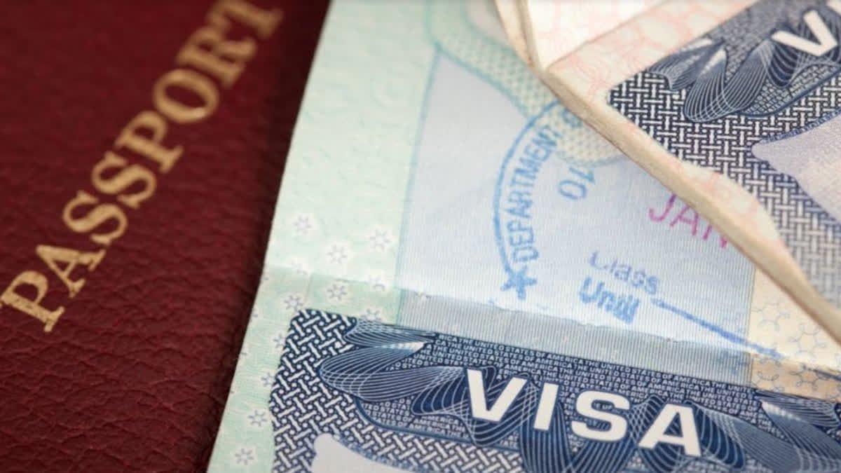 us ट्रम्प प्रशासन ने h-1b वीज़ा धोखाधड़ी पर 175 जांच शुरू की