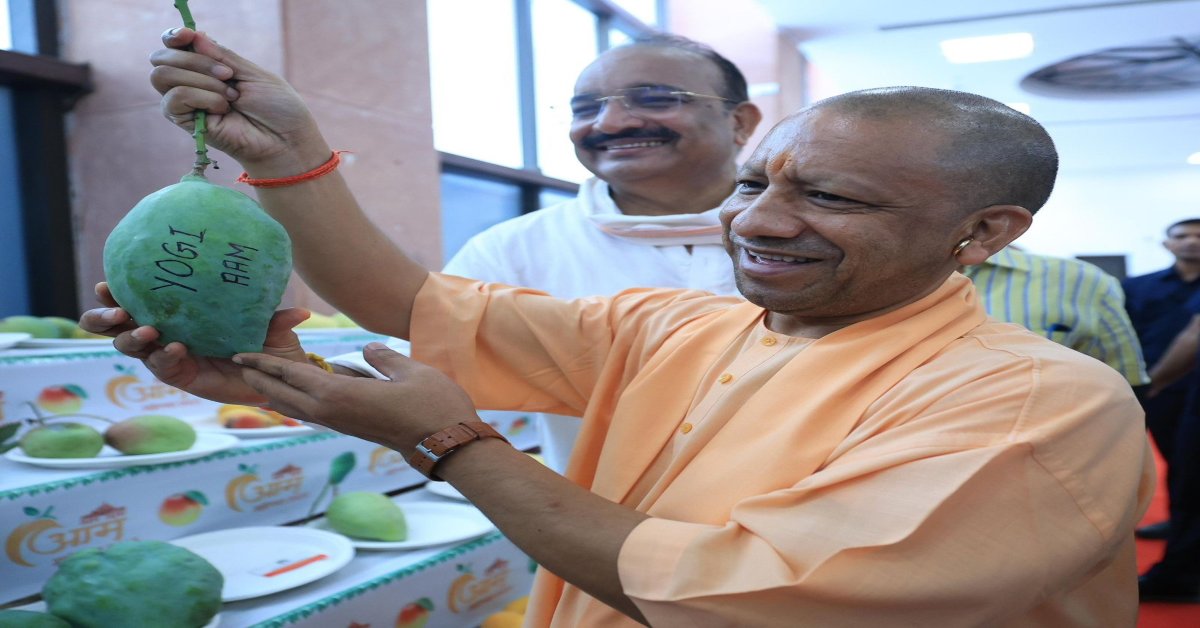 yogi mango ढाई किलो का ‘योगी आम’ देख हक्का-बक्का हुए सीएम योगी बोले- शान है यूपी की