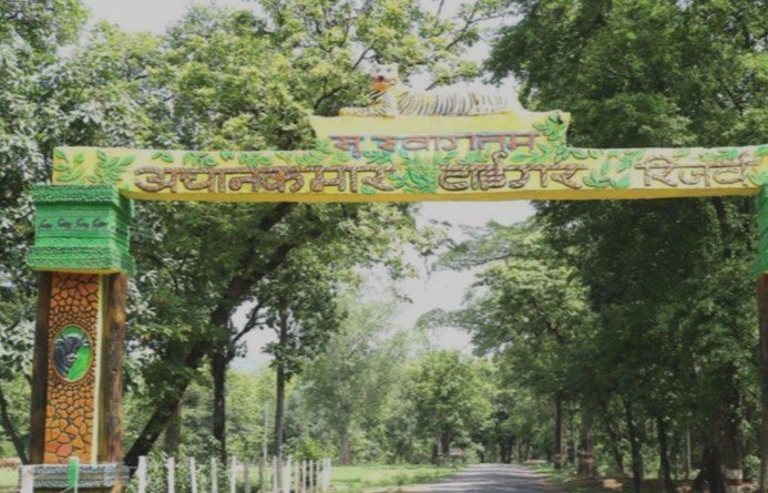 cg news इंतजार खत्म आज से खुलेगा अचानकमार टाइगर रिजर्व
