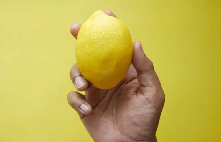 lemon auctioned  एक नीबू की कीमत 13000 रुपये  जानिए क्यों खास है