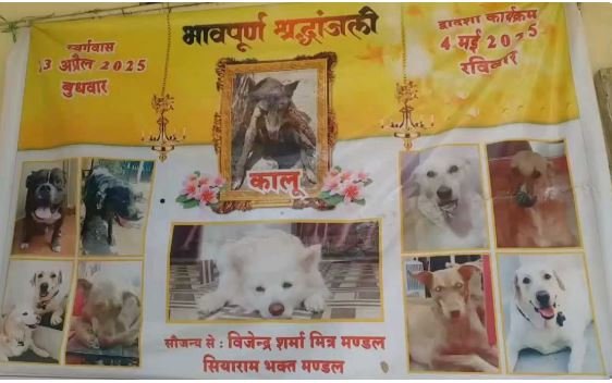 indore  डॉग कालू के लिए लोग कराएंगे मुंडन