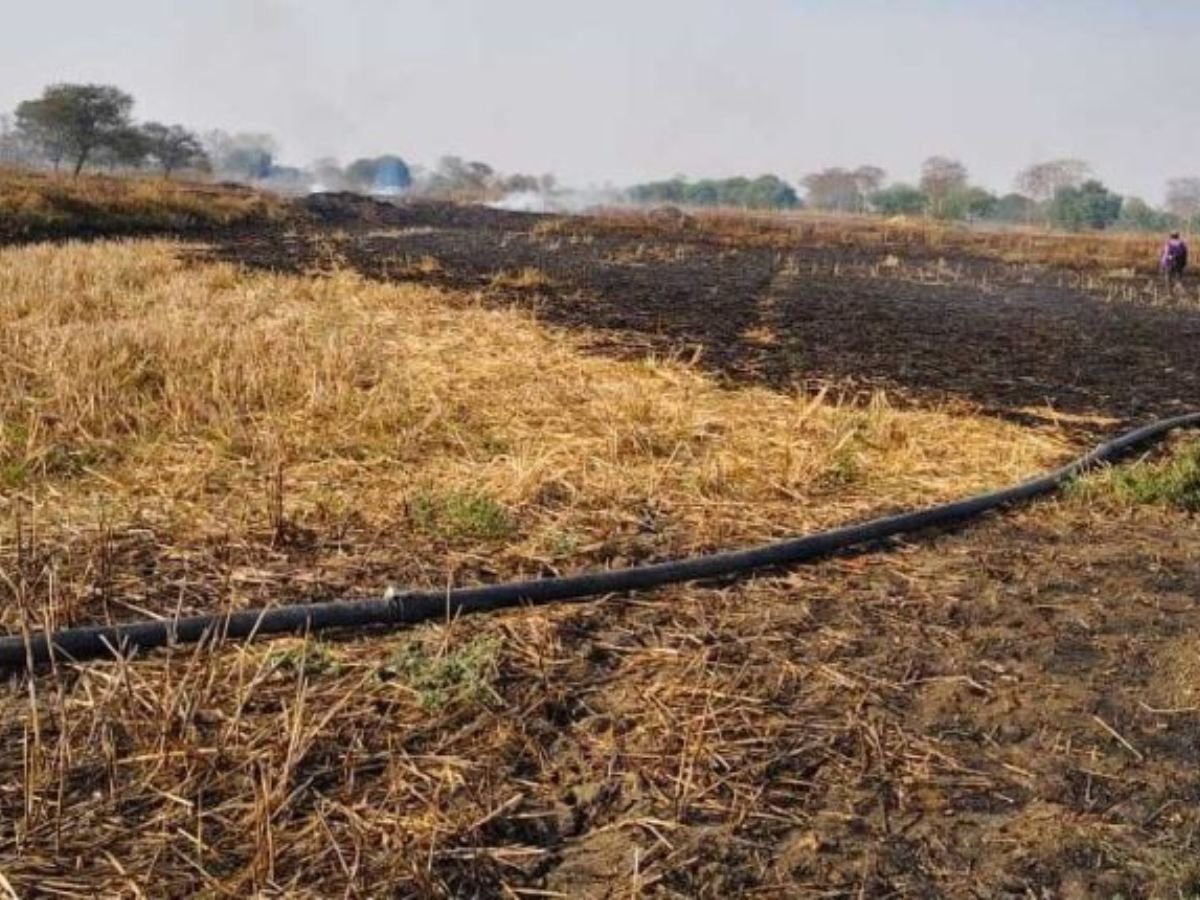किसानों के खेतों में लगी भीषण आग 400-500 एकड़ की फसल जलकर खाक