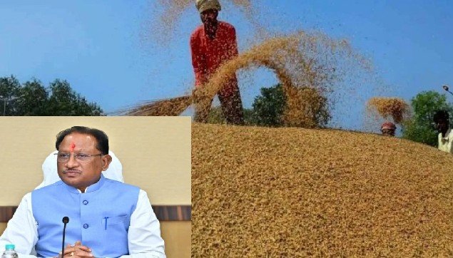 chhattisgarh paddy farmers होली से पहले धान किसानों को साय सरकार की सौगात