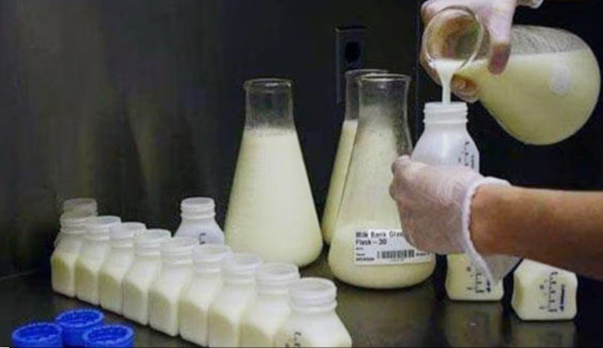 सेहत से खिलवाड़ mp में मिलावटी दूध का खुलासा 13 सैंपल  फैल