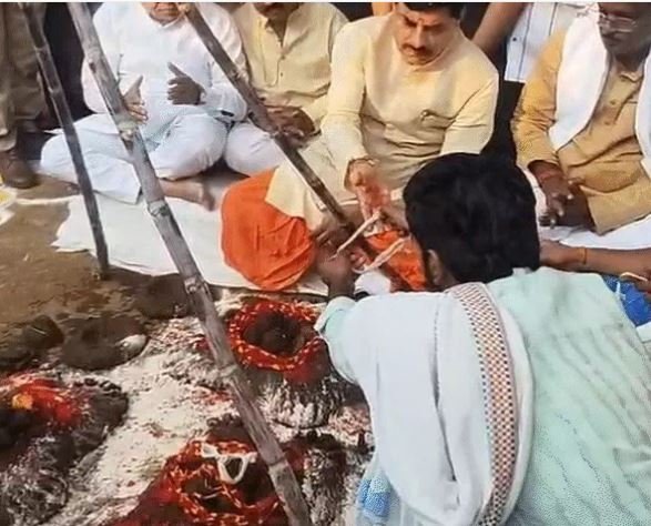 govardhan puja उज्जैन में सीएम मोहन यादव की गोवर्धन पूजा गाय के बछड़े का किया दुलार