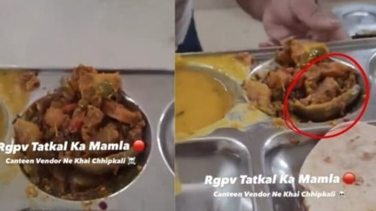 dead lizard found in bhopal university meal canteen staffer claims ‘it’s capsicum’ eats it to ward off suspicion
