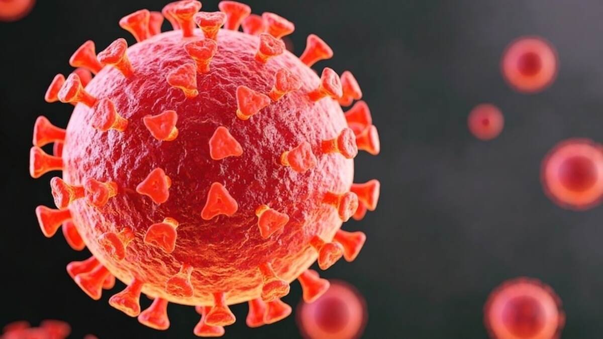 long covid raises risk of heart ailments even in mild cases finds study