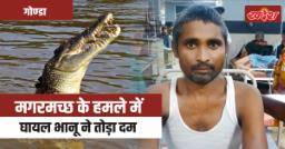 Gonda News: 34 दिन मौत से जंग हार गया भानु, मगरमच्छ हमले में हुआ था जख्मी 