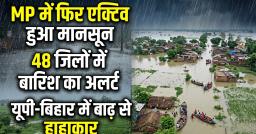 MP में फिर एक्टिव हुआ मानसून, यूपी-बिहार में बाढ़ से हाहाकार; 48 जिलों में बारिश का अलर्ट