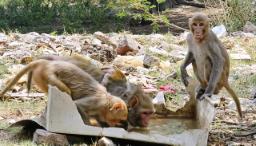 नोएडा में आसमान से बरस रही आग, गर्मी ने तोड़े वर्षों पुराने रिकॉर्ड