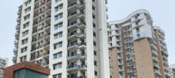 आवारा कुत्तों का आतंक: दो दिन में चार लोगों पर हमला, जान से मारने की धमकी तक मिली