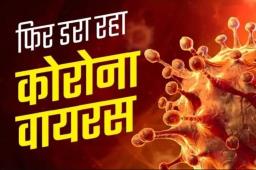 नोएडा में कोरोना संक्रमण के 14 नए मामले, सभी होम आइसोलेशन में