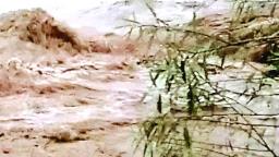 उत्तरकाशी में तबाही के बाद अब पंचकूला में मोरनी हिल्स में लैंडस्लाइड, चंडीगढ़-मनाली फोरलेन बंद 