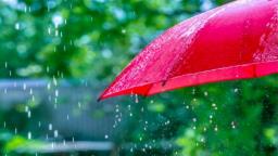 हिमाचल प्रदेश से सटे पंजाब के पठानकोट, होशियारपुर, नवांशहर और मोहाली में येलो अलर्ट जारी, होगी जमकर बारिश 