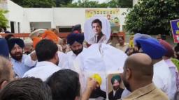 जालंधर में बेअदबी के मुद्दे पर अकाली दल के नेताओं ने राहुल गांधी, प्रताप बाजवा के पुतले फूंके, परगट सिंह को चेतावनी