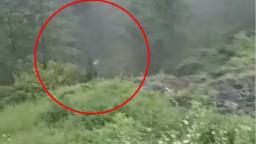 हिमाचल में 300 मीटर फीट गहरी खाई में गिरी ऑल्टो कार, 3 लोगों की मौ