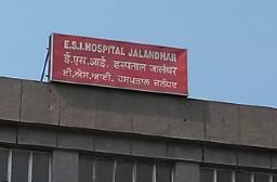 ESI कर्मचारियों के पंजीकरण करने के लिए नया पोर्टल किया लॉन्च, सुनिश्चित करेंगे सामाजिक सुरक्षा