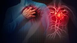 ​​​​​​​Health Tips: बढ़े हुए बैड कोलेस्ट्रॉल से हैं परेशान? कम करने के लिए अपनाएं ये असरदार तरीके
