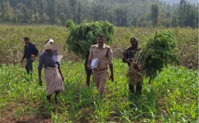 होली से पहले बाजार गुलजार, 80 हजार करोड़ के कारोबार से बढ़ेगी रफ्तार
