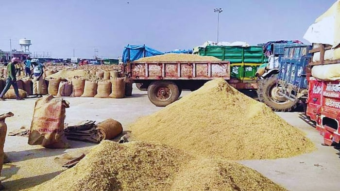CG NEWS : छत्तीसगढ़ में धान खरीदी शुरू,टोकन-तुंहर-हाथ ऐप फेल
