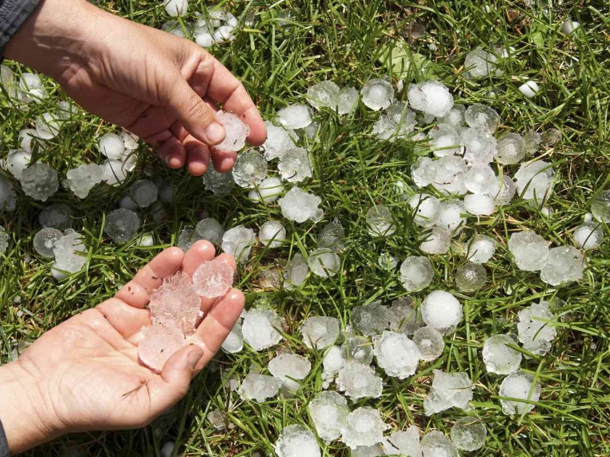 हिमाचल समेत 7 राज्यों में ओले गिर सकते हैं:राजस्थान में 2 दिन आंधी-बारिश का अलर्ट