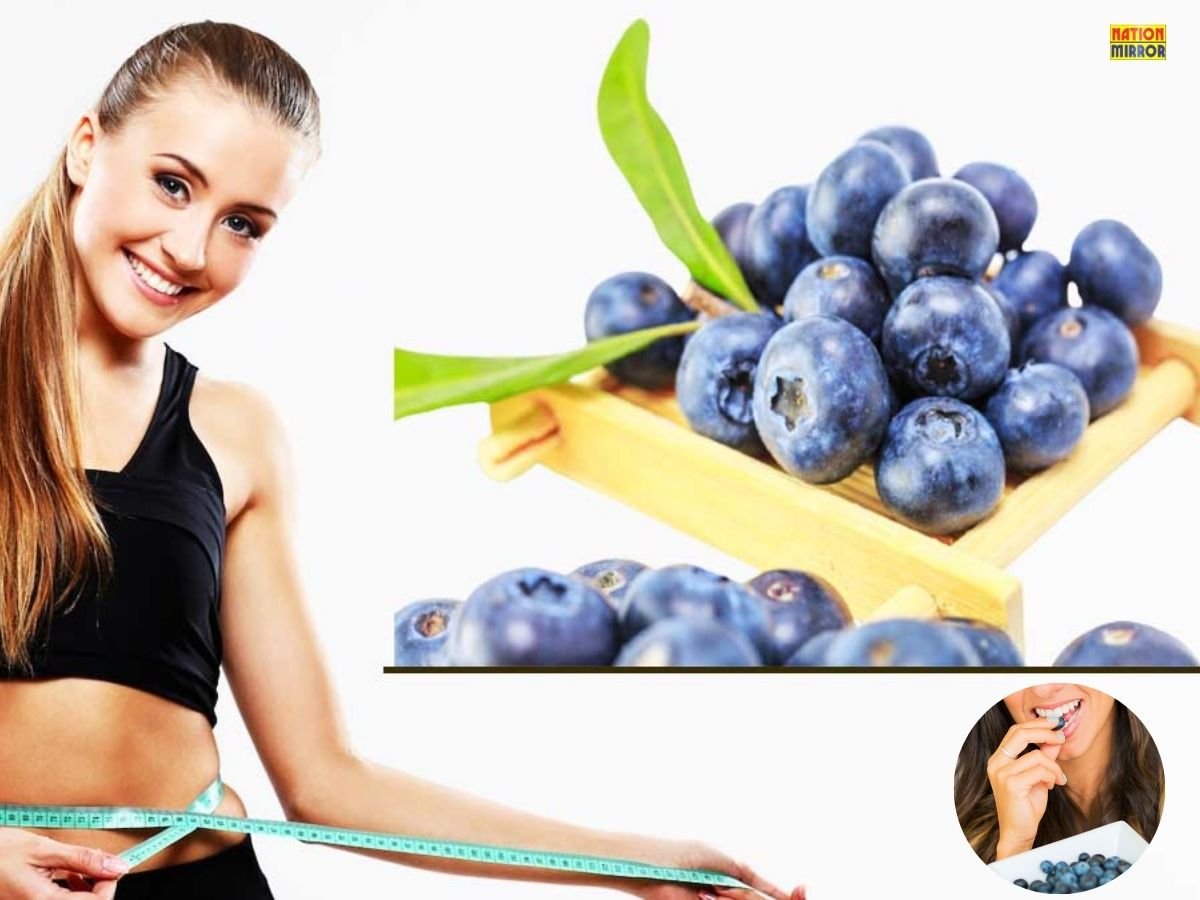 Benefits of Blueberries: वजन घटाने से लेकर याददाश्त बढ़ाने की कई बीमारियों का इलाज है ये सुपरफूड!