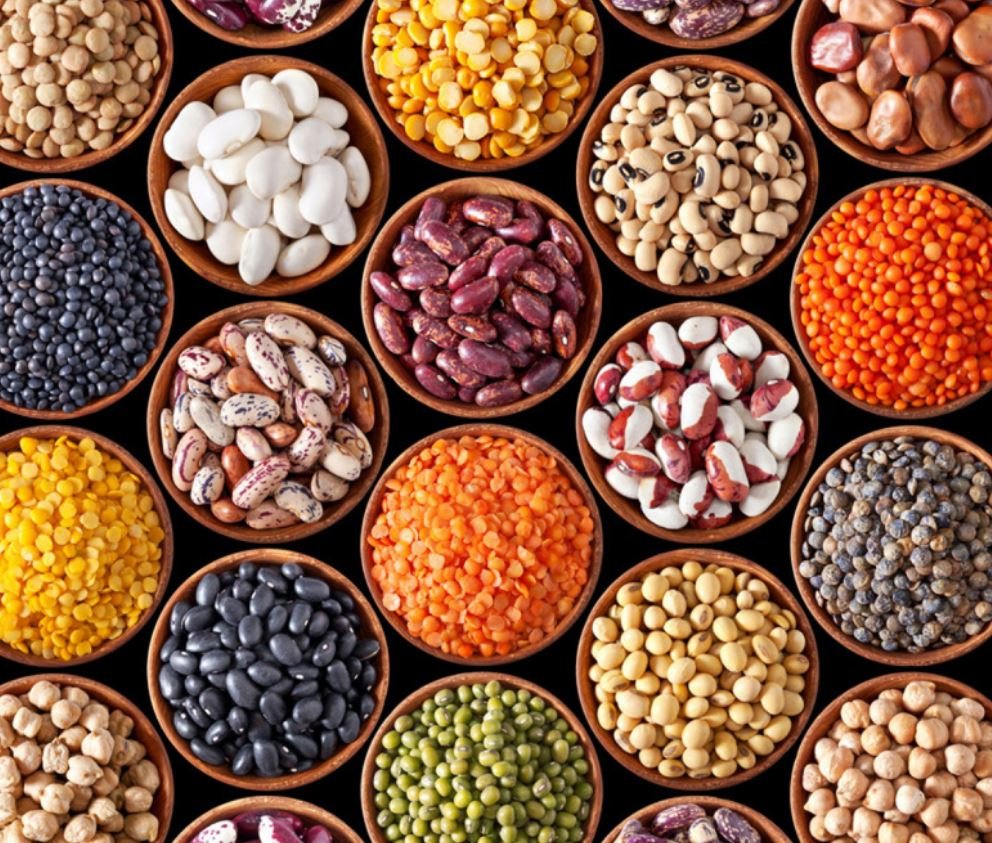 बंगाल में CM डॉ. यादव, बोले - दीदी को हिंदुओं से लेनादेना नहीं