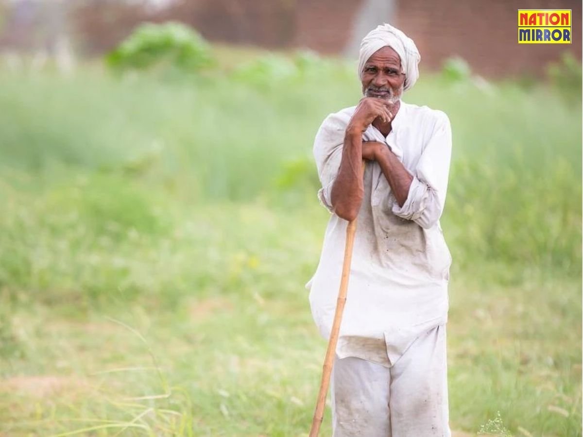 महोबा में फसल बीमा योजना का फर्जीवाड़ा: वन भूमि को निजी खेत दिखाकर कराया बीमा