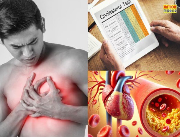 Cholesterol CausesRemedies: कोलेस्ट्रॉल क्यों बढ़ता है? जानिए कारण और निवारण...